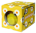 Daisy in the Box