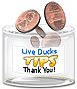 Live Ducks Tip Jar
